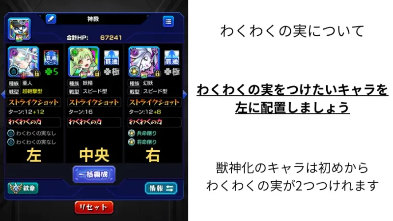 わくわくの実についての画像です。